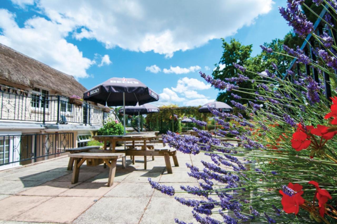 Butterfly Lodge Paignton Eksteriør billede