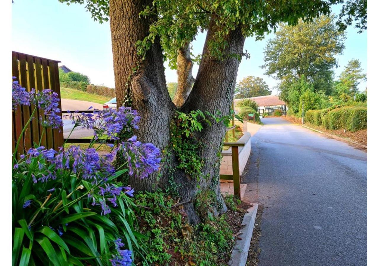 Butterfly Lodge Paignton Eksteriør billede